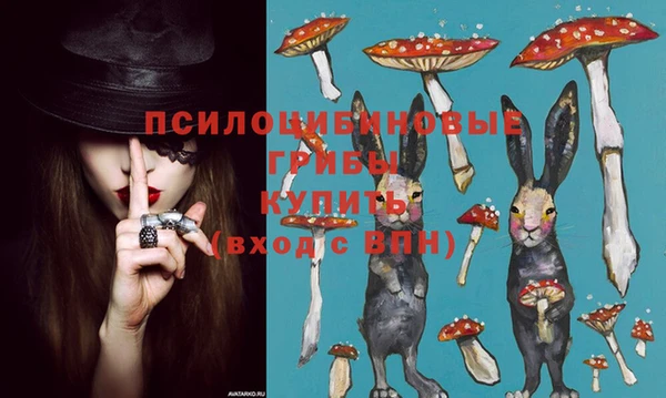эйфоретик Пестово