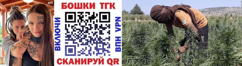 Бошки марихуана THC 21%  купить закладку  МЕГА   Костомукша 